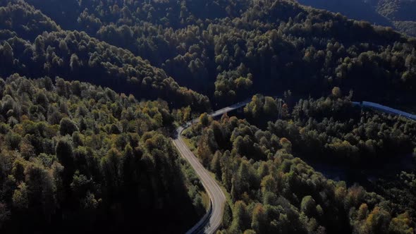 Mountain Road with Driving Cars Among Wonderful Autumn Forest