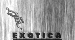 Elevator Muzaks and Exotica Tunes