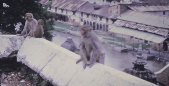 Super 8 Vintage Movie 13 alt