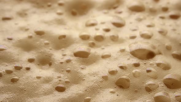 beer . beer foam. beer bubbles. light beer alt