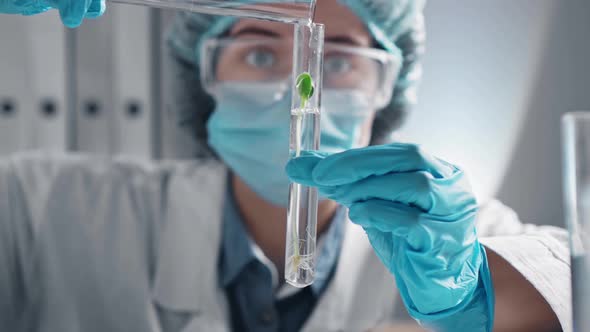 Doctor Laboratory Assistant Pours Liquid Into A Transparent Test Tube With A Green Sprout alt