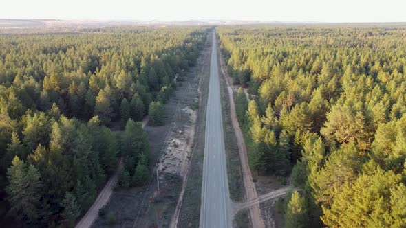Aerial View of the Road Between the Forest