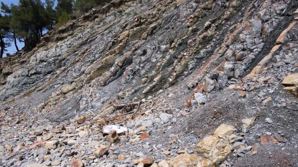 Pine trees grow on the rock. Layered rock formation, geological rock alt