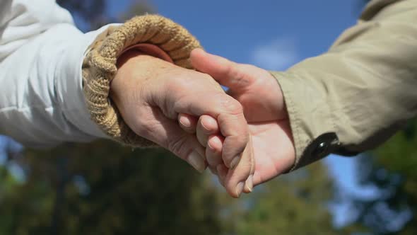 Elderly Man and Woman Holding Hands, Aged Couple Romantic Date, Love Closeness