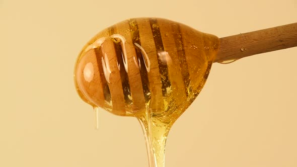 Honey Flowing from Wooden Dipper alt