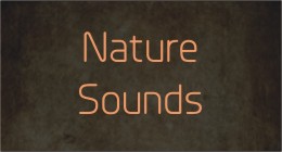 Nature Sounds