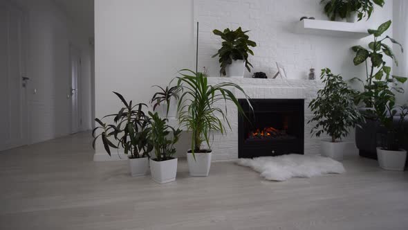 Living Room Overview Lounge and Kitchen Empty alt