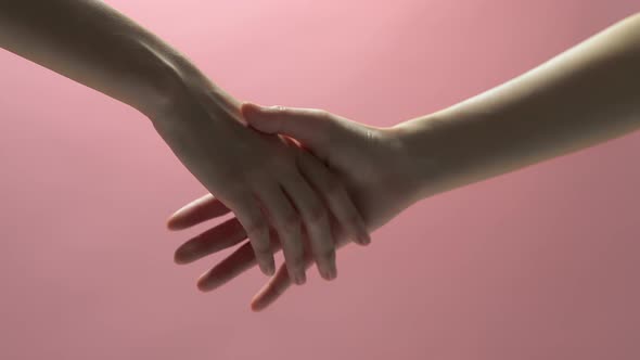 Close up of partnership handshake successful after negotiating business on light pink background. alt