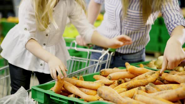 Young Happy Mother and Cute Daughter Picking Carrot Vegetables While Grocery Shopping in Supermarket alt