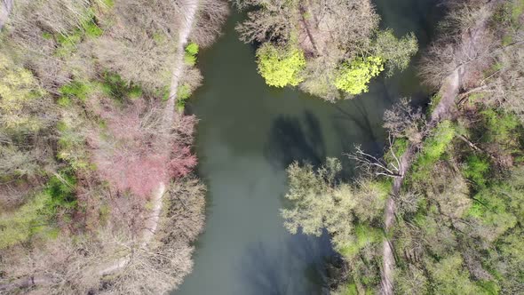 View From Above On A Lake And Trees On Spring