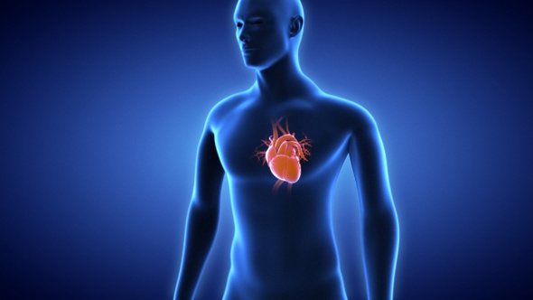 Heart Attack Conceptual Animation For Heart Diseases