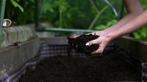 Female Hands Arranging And Working With Fertile Soil