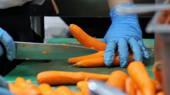 Preparation of Products at Commercial Kitchen