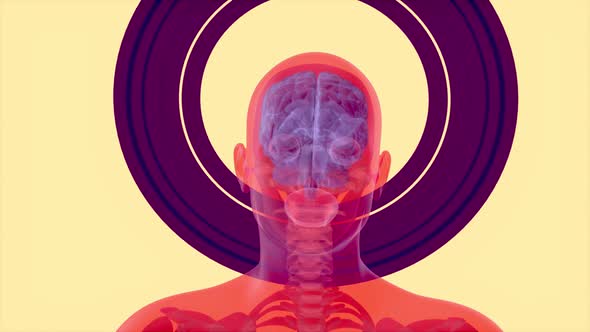 4K Anatomy concept of a Xray man walking alt