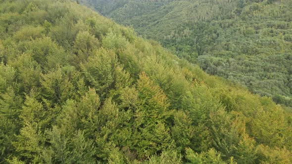 Trees in the Mountains Slow Motion. Aerial View of the Carpathian Mountains in Autumn. Ukraine alt