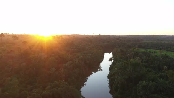 Drone Going Up A River, In The Middle Of The Amazon Rainforest, At Sunset