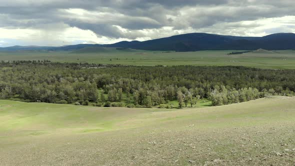 Trees, Forest and Vast Meadow in The Big River in Wide Valley of Asia Geography alt