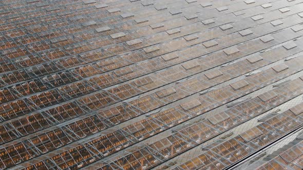 Black Birds Fly Above Greenhouse Buildings with Glass Roofs alt