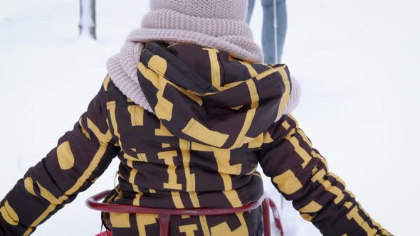 Sleigh Time in the Winter alt