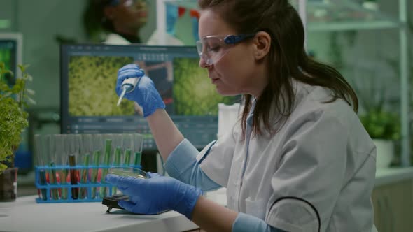 Biologist Researcher Using Micropipette and Petri Dish alt
