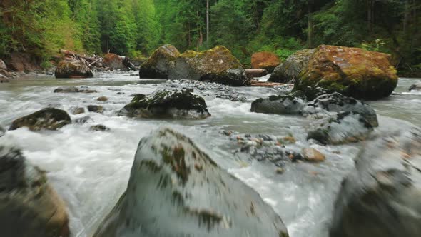 Beautiful Mountain River in Green Forest Drone Flying Low Backwards  Aerial alt