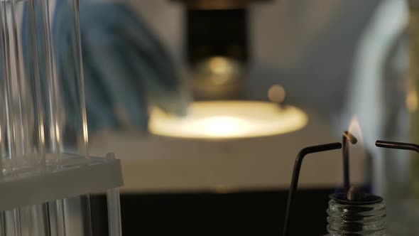 Medical Scientist Viewing Samples Under Microscope, Doing Research in Lab alt