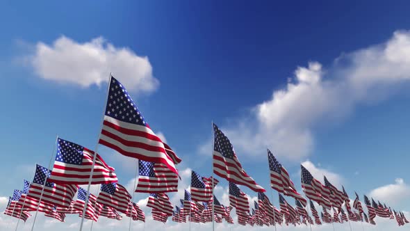 A Field Of Hundreds Of American Flags