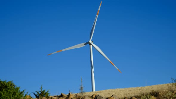 Wind Tribunes and Landscapes alt