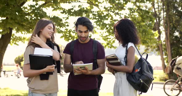 Multi Racial Students Discussing Subject Standing at Park alt
