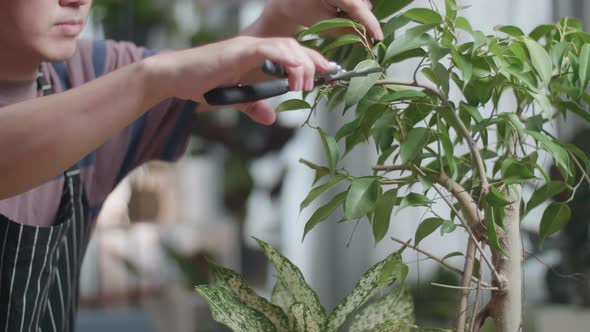 Man's Hands Holding Pruning Shears And Trimming Plants At Home alt
