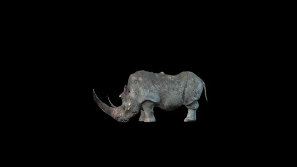 Rhino Idle alt