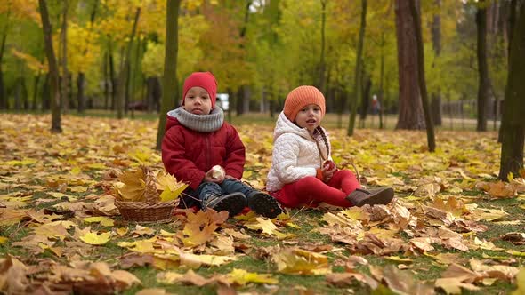 Little Cute Preschool Minor Baby Siblings Girl and Boy Smiling On Red Plaid Yellow Fallen Leaves In