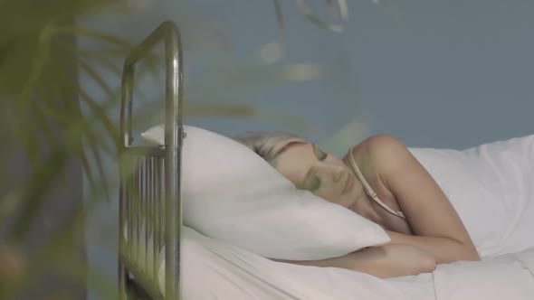 Calm Young Woman Having Healthy Daytime Sleep Napping Relaxing on Bed with Closed Eyes alt