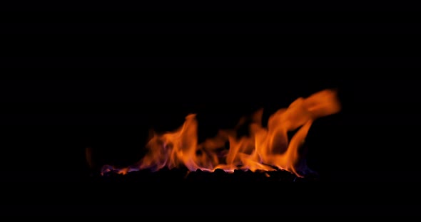 Burning coal in the fire. Closeup of flames effect isolated on black background alt