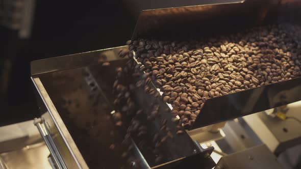 Roasted Coffee Beans Fall Out of the Chiller alt