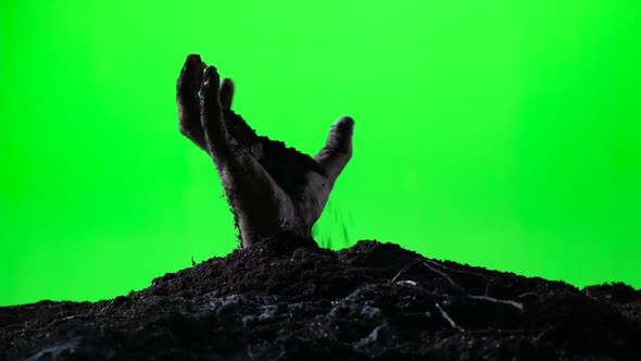 Zombie Hand Emerging From the Ground Grave. Halloween Concept. Green Screen. 011 alt