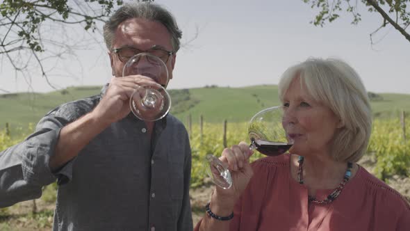 Senior couple drinking wine at vineyard 