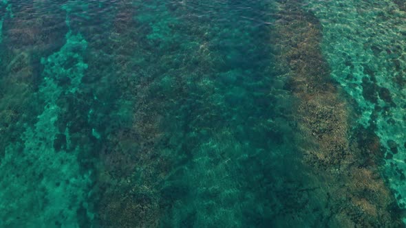 The stunning green, dark and brown colors of the corals in Fiji - aerial alt