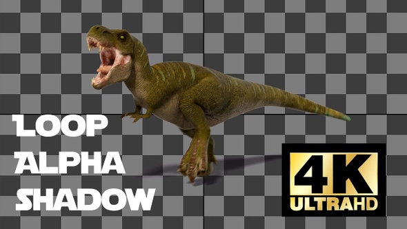 Dinosaur Tyrannosaurus Run And Roar Loop With Alpha And Shadow