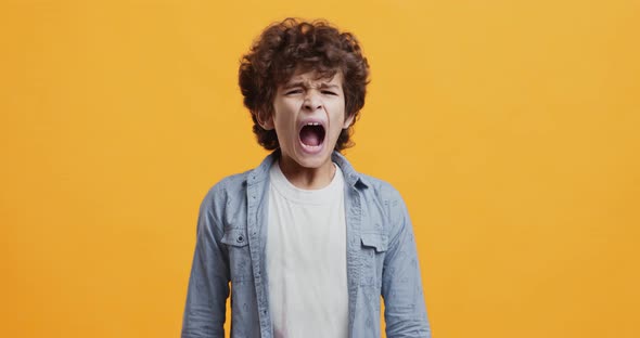 Kids Hysterics. Studio Portrait of Displeased Little Boy Screaming Dramatically alt