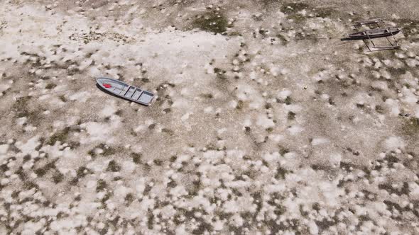 Shore of Zanzibar Island Tanzania at Low Tide alt