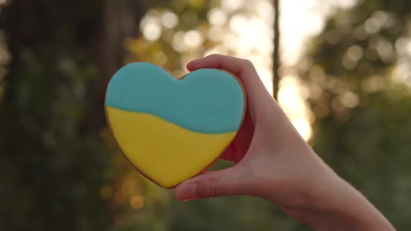 Woman Holds Heart Gingerbread with the Flag of Ukraine Against the Background of the Evening Forest