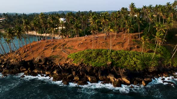 Aerial of Coconut Tree Hill, isolated palm trees. Mirissa, Sri Lanka alt