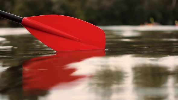 Kayak Oar Paddle Rowing At Sunrise On Vacation Holiday. Paddle Rowing On Quiet River At Sunset. alt