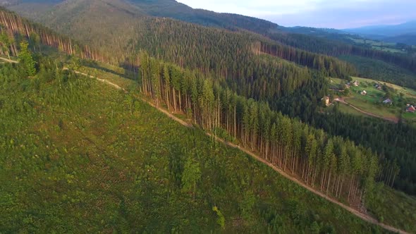 Deforestation. Aerial drone view of forest destroyed in Ukraine.