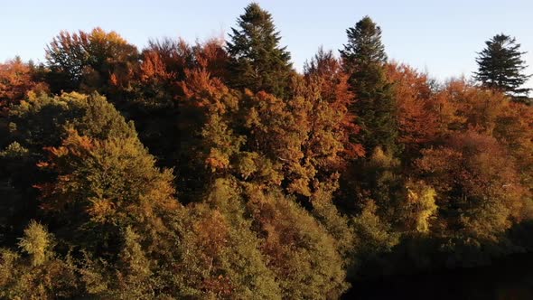 Aerial view of beautiful lake with seabirds and trees with autumn colours in Sealand, Denmark alt