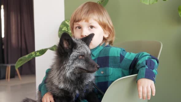 Child and His Pet Fox Portrait