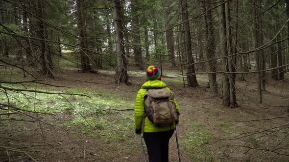 A Woman with a Backpack Travels in the Forest alt