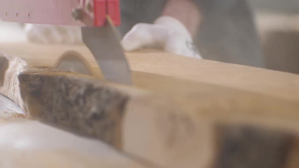 The Process of Cutting Wood Into Boards on an Electric Circular Saw alt