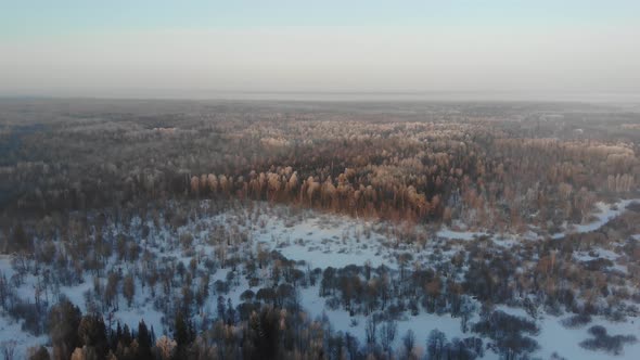 Beautiful Winter Forest In The Morning